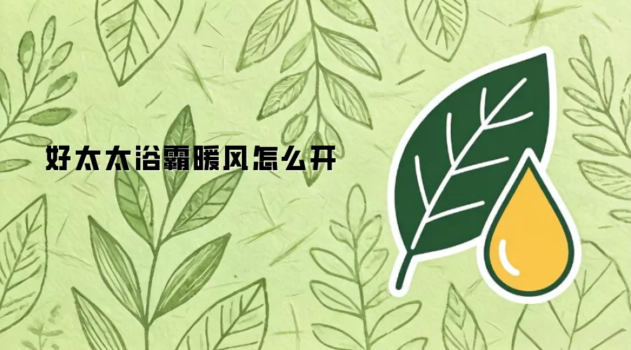 好太太浴霸暖风怎么开