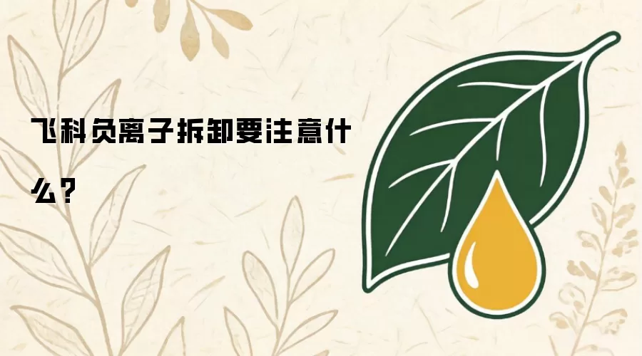 飞科负离子拆卸要注意什么？