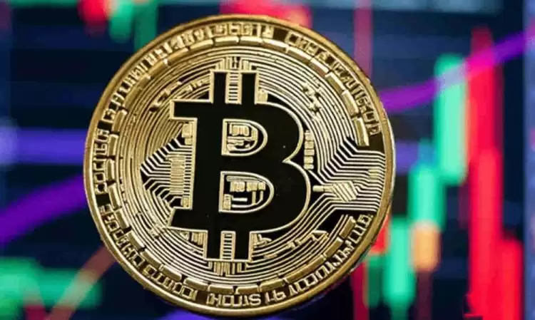 什么是比特币短期持有者?数量下降说明什么?有何含义?