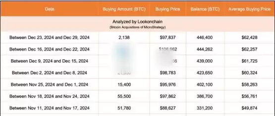 微策略2025年Q1拟发股筹资20亿美元加码比特币!股价大涨13%