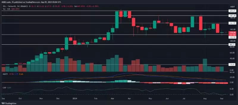 SOL技术分析图表（历史参考）