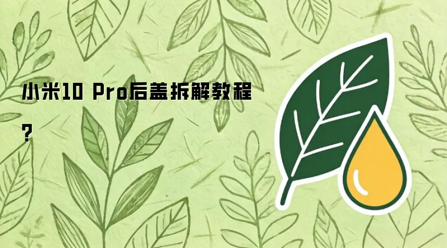 小米10 Pro后盖拆解教程？