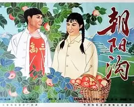 电影《朝阳沟》剧情介绍