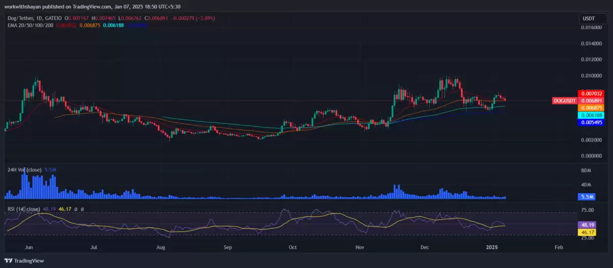 DogGoToTheMoon价格预测:DOG币价格真的会去月球吗？