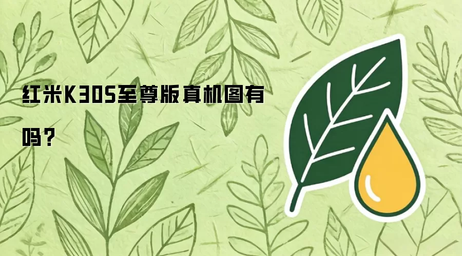 红米K30S至尊版真机图有吗？