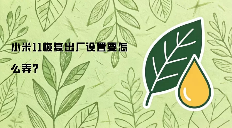 小米11恢复出厂设置要怎么弄？
