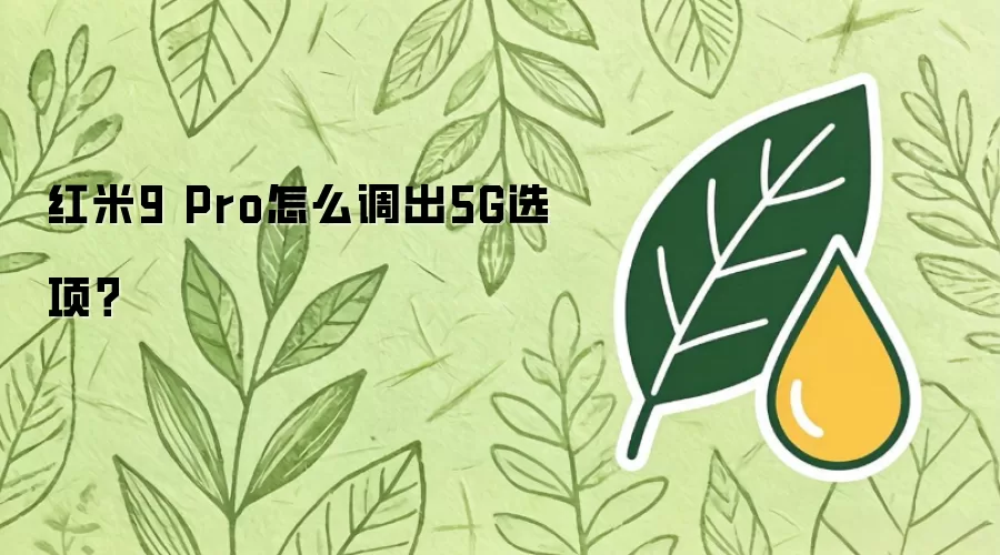 红米9 Pro怎么调出5G选项？