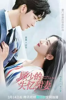 电视剧《顾少的失忆甜妻》剧情介绍
