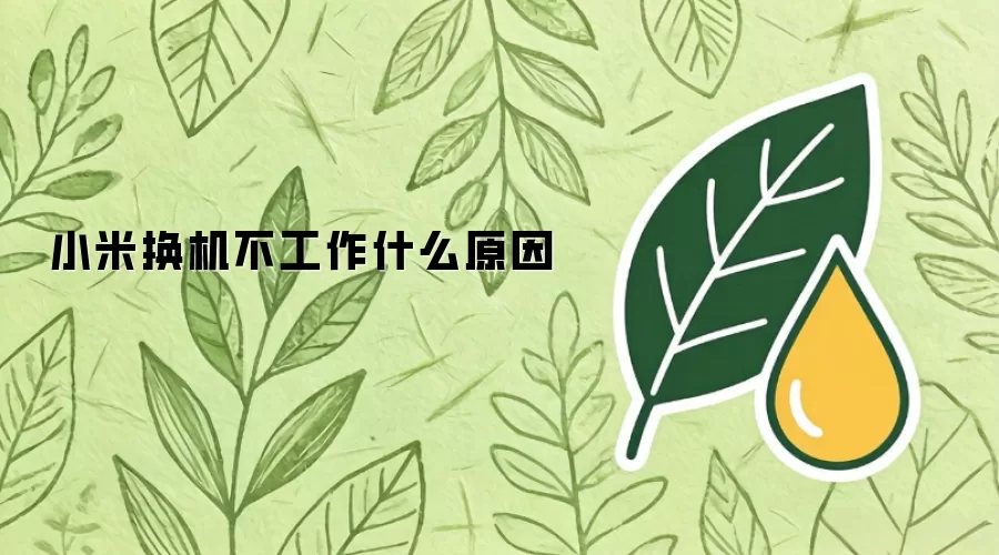 小米换机不工作什么原因