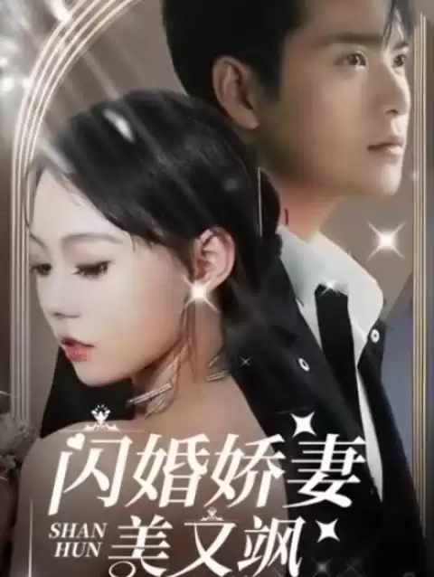 短剧《闪婚娇妻美又飒》剧情介绍