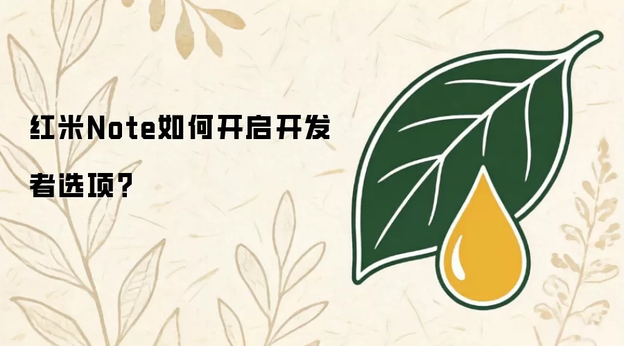 红米Note如何开启开发者选项？