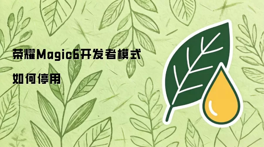 荣耀Magic6开发者模式如何停用