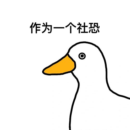 社恐是什么梗