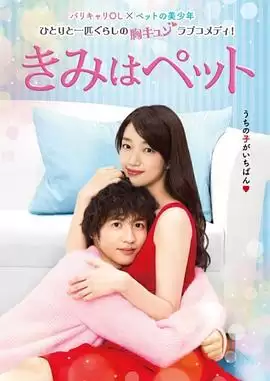 电视剧《宠物情人2017》剧情介绍
