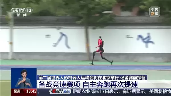 官宣：荣耀自研机器人闪电、元气仔参加第二届人形机器人运动会