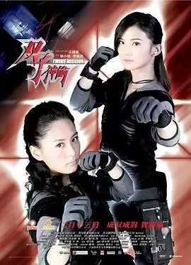 电影《双子神偷》剧情介绍