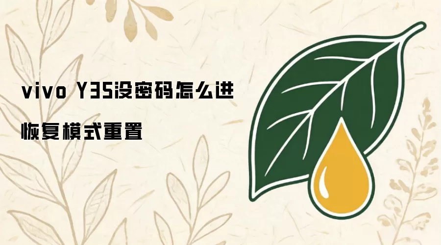 vivo Y35没密码怎么进恢复模式重置