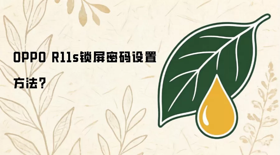 OPPO R11s锁屏密码设置方法？