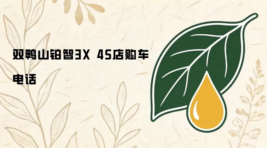 双鸭山铂智3X 4S店购车电话