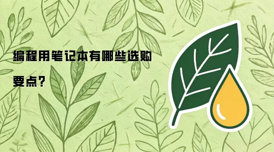 编程用笔记本有哪些选购要点？