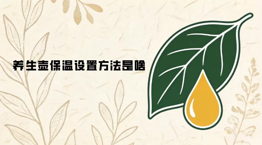 养生壶保温设置方法是啥