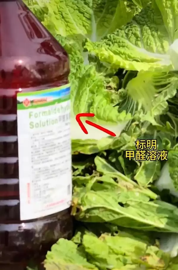 博主曝光“大白菜装车前蘸甲醛保鲜” 当地通报：对涉事白菜流向紧急追溯