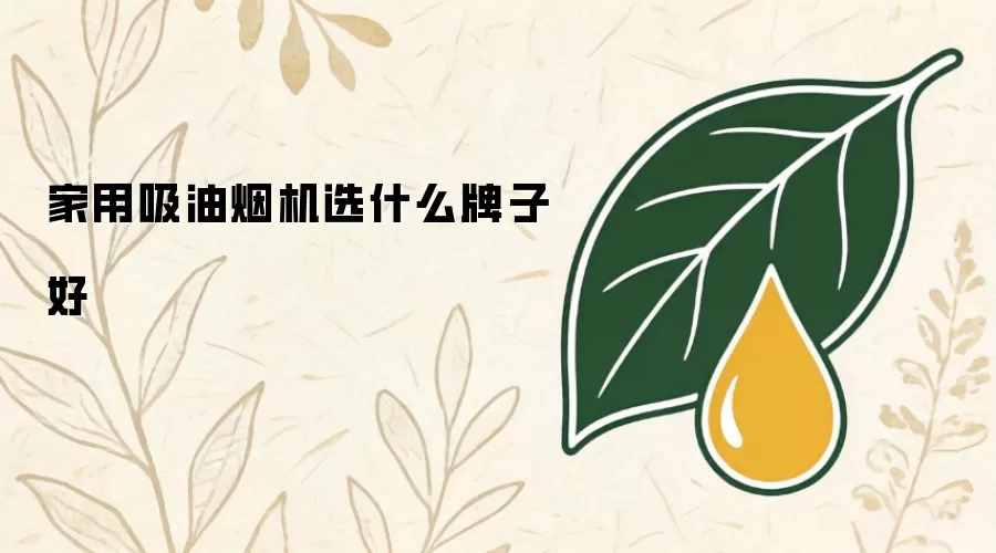 家用吸油烟机选什么牌子好