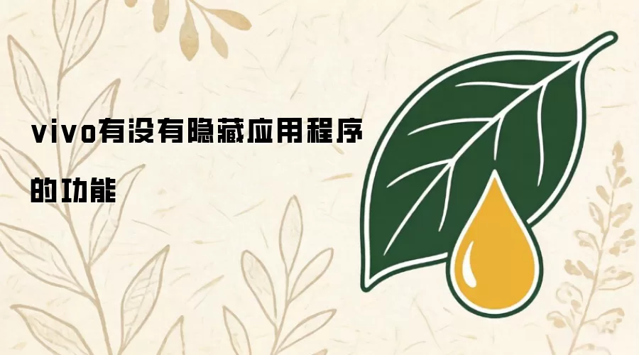vivo有没有隐藏应用程序的功能