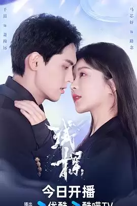 电视剧《试探》剧情介绍
