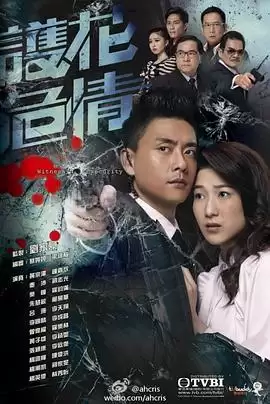 电视剧《护花危情国语》剧情介绍