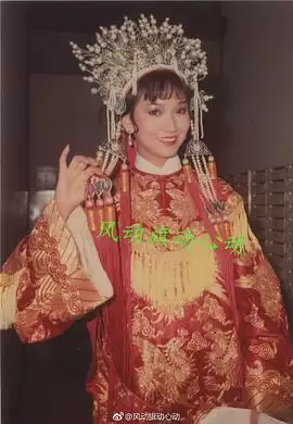 电视剧《癫凤狂龙粤语》剧情介绍