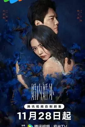 电视剧《婚内婚外》剧情介绍