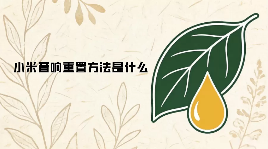 小米音响重置方法是什么