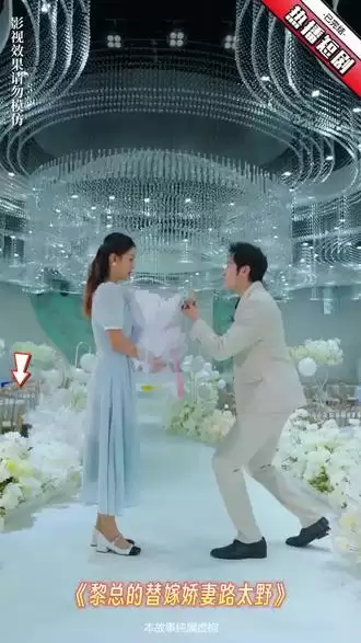 短剧《黎总的替嫁娇妻路太野》剧情介绍