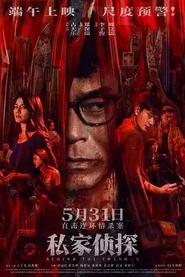 电影《私家侦探》剧情介绍