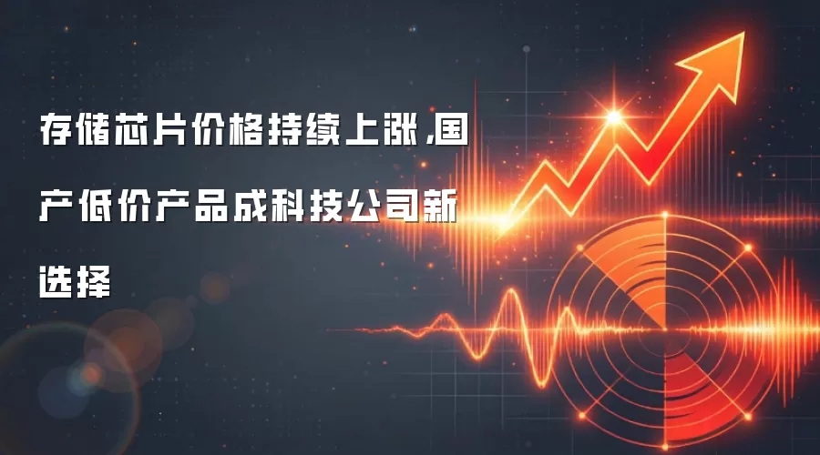 存储芯片价格持续上涨，国产低价产品成科技公司新选择
