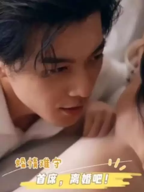 短剧《婚情难守：首席，离婚吧》剧情介绍