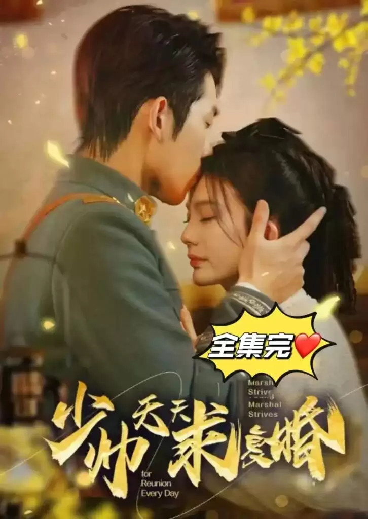 短剧《少帅天天求复婚》剧情介绍