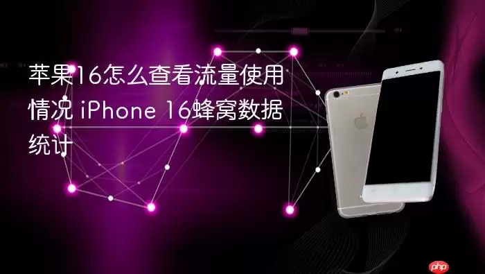 苹果16怎么查看流量使用情况 iPhone 16蜂窝数据统计