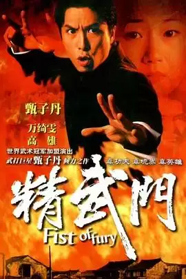 电视剧《精武门1995国语》剧情介绍
