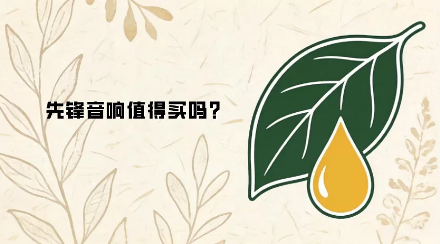 先锋音响值得买吗？