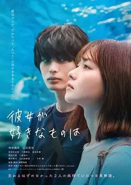 电影《她喜欢的是》