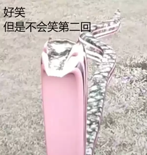 同事看完《牛来》 被《1818黄金眼》采访了
