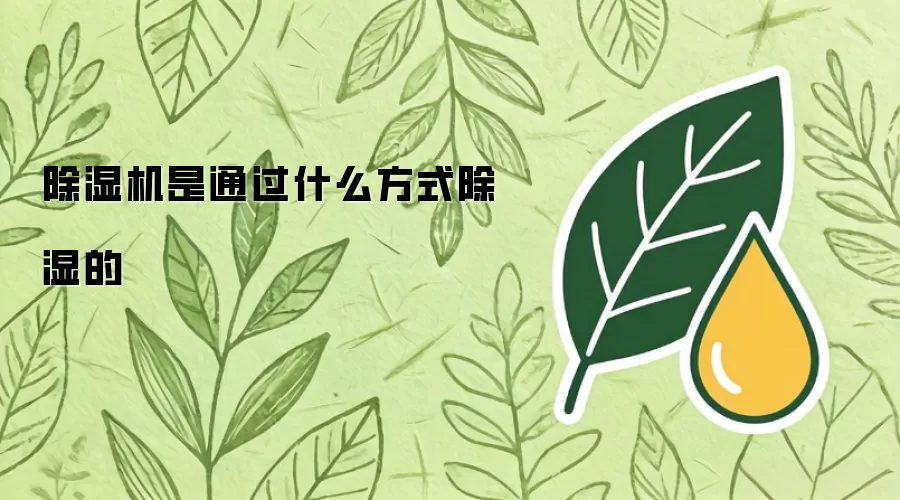 除湿机是通过什么方式除湿的