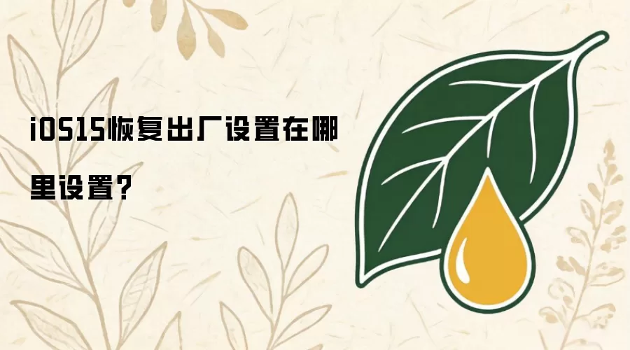 iOS15恢复出厂设置在哪里设置?