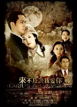 电视剧《来不及说我爱你》剧情介绍