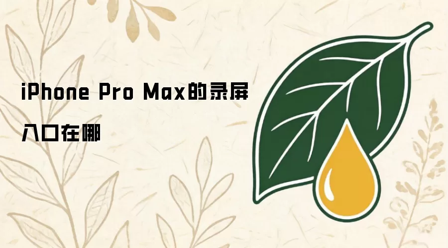 iPhone Pro Max的录屏入口在哪